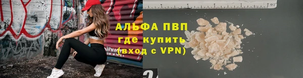 сатива Аркадак