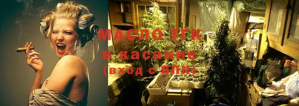 сатива Аркадак