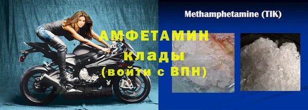 сатива Аркадак