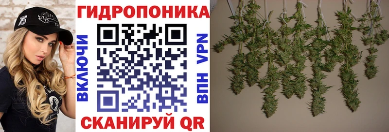 Бошки марихуана Amnesia  blacksprut ONION  сайты даркнета официальный сайт  сколько стоит  Ревда 